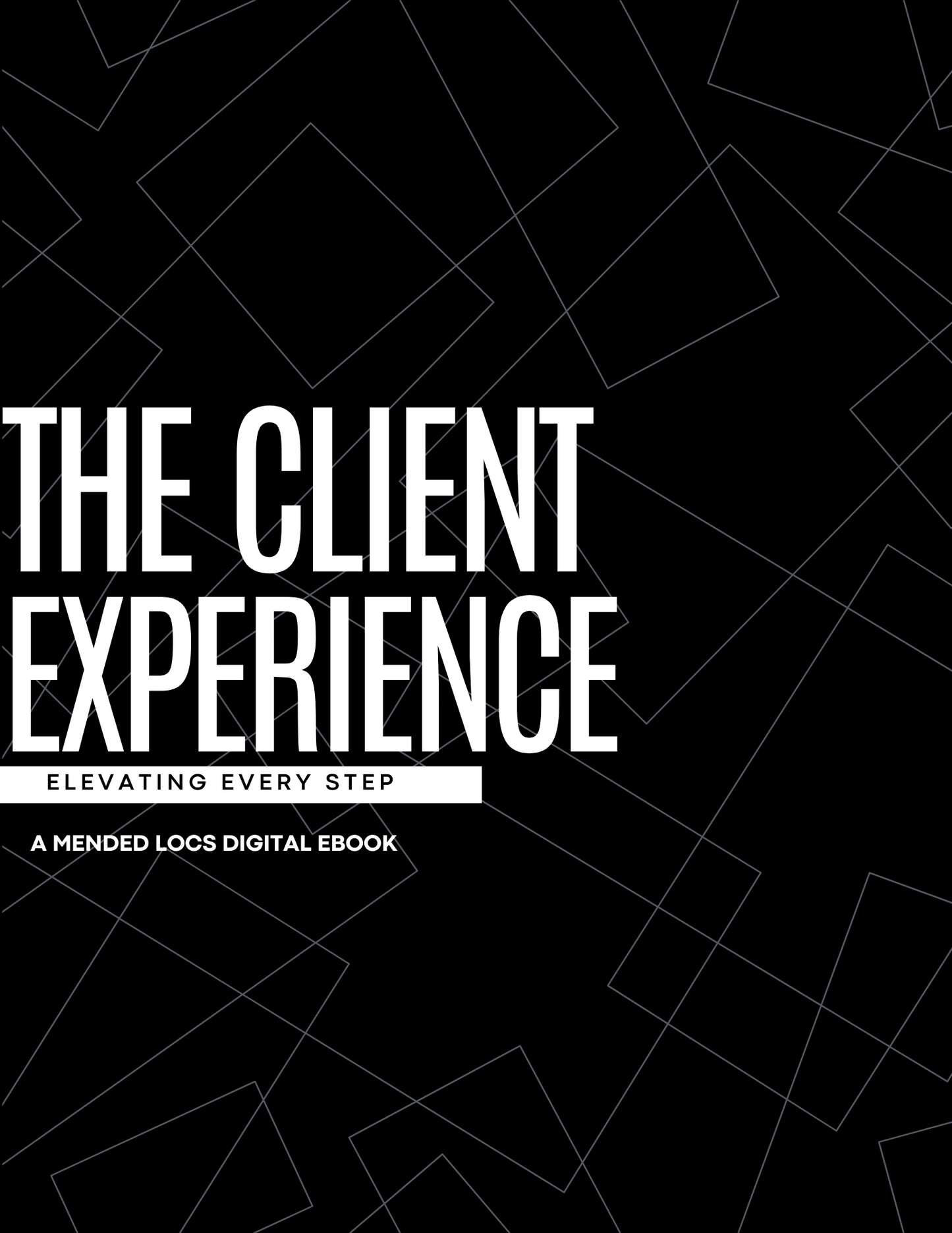 The Client Experience: Elevating Every Step E-Book
